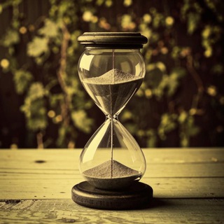 Logo of telegram channel time_capsulate — ChronoVault