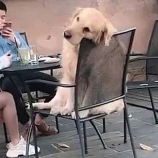 Логотип телеграм канала @timeless_video — Вне времени