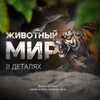 Логотип телеграм канала @timetoanimals — Животный мир в деталях