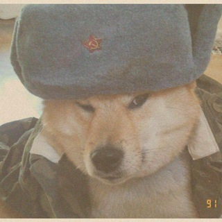 Логотип телеграм канала @timetocoolstory — Time to cool story