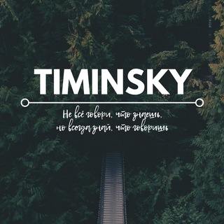Логотип телеграм -каналу timinsky — Timinsky