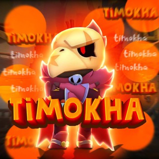 Логотип телеграм канала @timokhateam — Timokha team