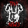 Логотип телеграм канала @tinybunnynewsmods — Tiny Bunny: Новости по модификациям