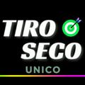 Logo des Telegrammkanals tirosecounico - TIRO SECO (O ÚNICO) VIRTUAL