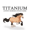 Логотип телеграм канала @titanium_stud_farm — Libontova 🍀 Titanium Stud Farm