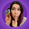 Логотип телеграм канала @titmousetrills — Синичкины трели