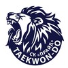 Логотип телеграм канала @tkdpride — ПРАЙД TAEKWON-DO