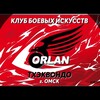 Логотип телеграм канала @tkhekvondoomsk — Клуб боевых искусств «ORLAN»