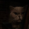 Логотип телеграм канала @tm_tmp_t — ︎РАБОТАЕМ БРАТ