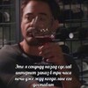 Логотип телеграм канала @tmshmot — TM SHMOT