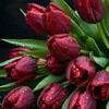 Логотип телеграм канала @tmuctopim — Мысли,цитаты Обсудим известные цитаты.