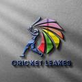 Logo des Telegrammkanals tnpl_toss_match_session_leakers - Cricket Leakes