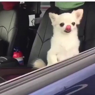 Логотип телеграм канала @to_da_see — То да сё