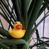 Логотип телеграм канала @toadblog — Настоящий блог
