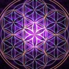 Логотип телеграм канала @tochkatvoreniy — ТочкатворениЯ студия роста Аrt-yoga ул.Баррикадная,17