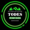 Логотип телеграм канала @todes_campls — TODES | Танцевальный интенсив в "Лесной сказке"