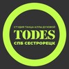 Логотип телеграм канала @todes_sst — TODES | SESTRORETSK | ТАНЦЫ