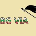 Logo saluran telegram todorangelov — BG Via