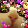 Логотип телеграм канала @toffee35 — ~🍬Ирисковый беспредел🍬~