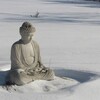 Логотип телеграм канала @toffugyokuro — гёкуро.