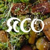 Логотип телеграм канала @tofu_recipes — Веганские рецепты | ЯСО