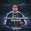 Логотип телеграм канала @togliattihockey — Тольяттинский Хоккей