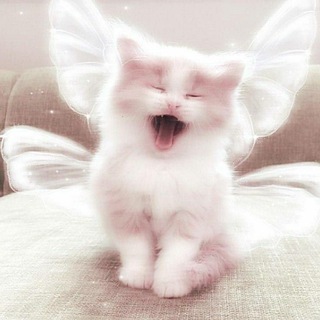 Логотип телеграм канала @tokyyyo_revengers — 𝙩𝙤𝙠𝙮𝙤