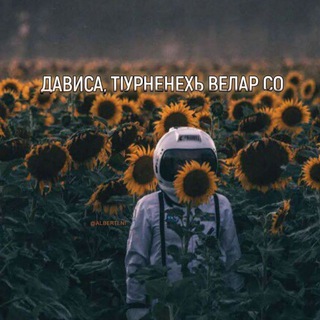 Логотип телеграм канала @tolamedog — ᴛᴏʟᴀᴍᴇᴅᴏɢ
