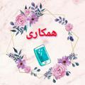 Logo saluran telegram tolidisevda1 — همکاری سودا👗