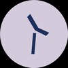 Логотип телеграм -каналу tolkovoprod — Настя толкує про дизайн та й таке