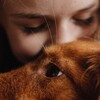Логотип телеграм канала @tollerirbis — TOLLER_IRBIS🧡