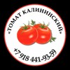 Логотип телеграм канала @tomatkalininskaya — Томат Калининский 🍅