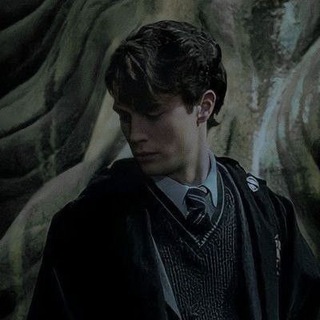 Логотип телеграм канала @tomriddlelordvoldemort — Tom Riddle's diary