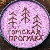 Логотип телеграм канала @tomsk_progulka — Томская Прогулка