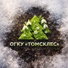 Логотип телеграм канала @tomskles70 — Томское управление лесами🌲