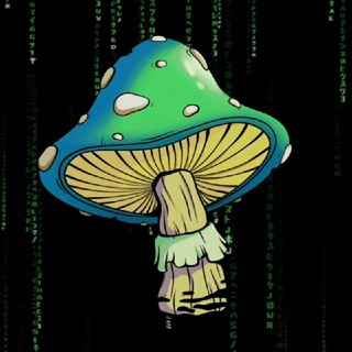 Логотип телеграм канала @ton_mushrooms_nft — TON MUSHROOMs NFT.