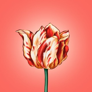 Логотип телеграм канала @ton_tulipomania — TON Tulipomania