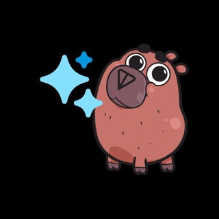 Logo of telegram channel toncapy_community — TonCapy