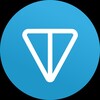 Логотип телеграм канала @tonchesru — TONches 2.0
