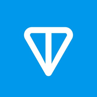 Logo saluran telegram toncoin_id — TON Community 🇮🇩