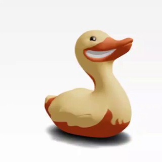 Логотип телеграм канала @tonduckside — TON Duck