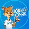 Логотип телеграм канала @tonkiyhomyak — TONкий Хомяк
