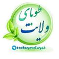 Logo saluran telegram toobayevelayat — طوبای ولایت
