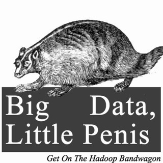 Логотип телеграм канала @tooo_short — Big Data Little Penis