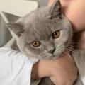 لوگوی کانال تلگرام toooom19 — ﮼ شارعَ تومَة 🪞.