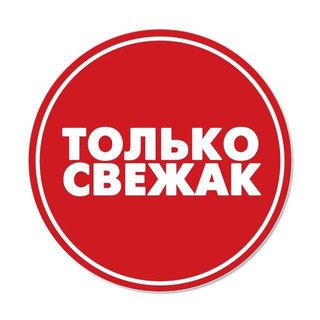 Логотип телеграм канала @tooop_dog — СВЕЖАК