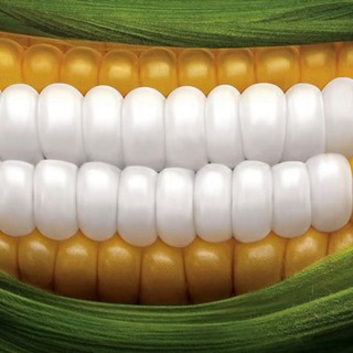 Логотип телеграм канала @toothnerve — Зубной канал