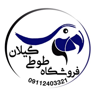 لوگوی کانال تلگرام tooti_gilan_shop — فروشگاه طوطى گيلان