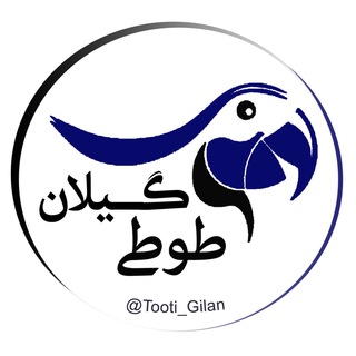 Logo saluran telegram tooti_gilan — طوطى گيلان