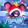 Логотип телеграм канала @top4ikbrawlstars1 — Спортзал Форса